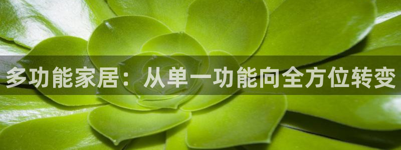 龙八国际平台手机版