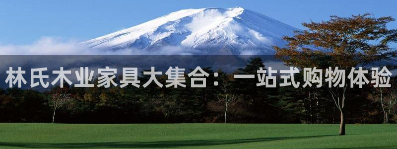 龙八国际集团有限公司