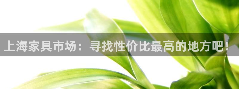 龙八国际体育