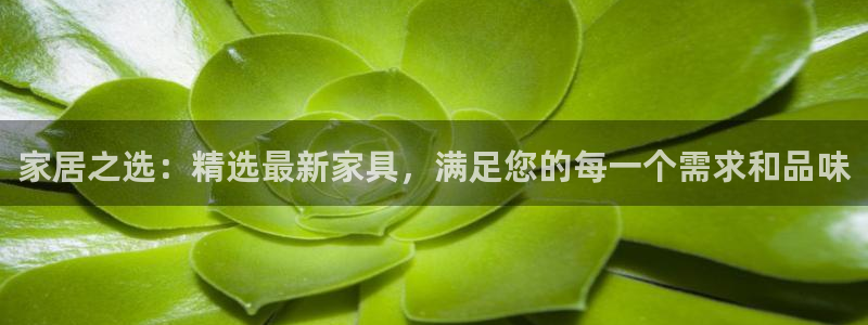 龙八国际APP官方版
