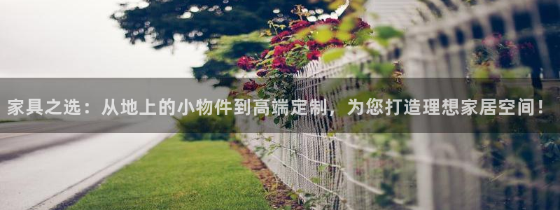 龙八国际app骗局