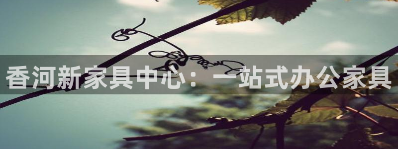 打开龙八国际