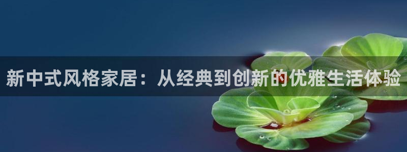 龙八国际服官网进入