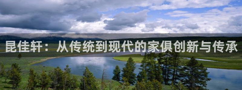 国际龙八国集团