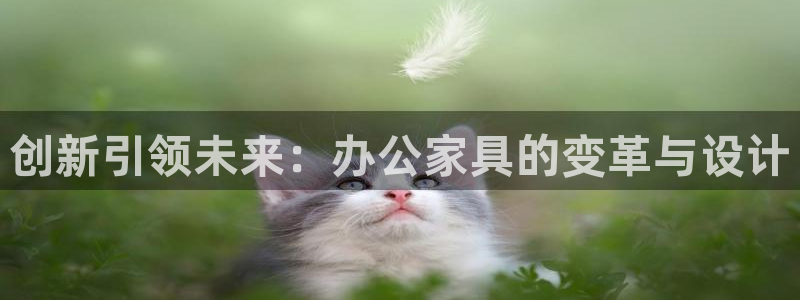 龙八国际手机app