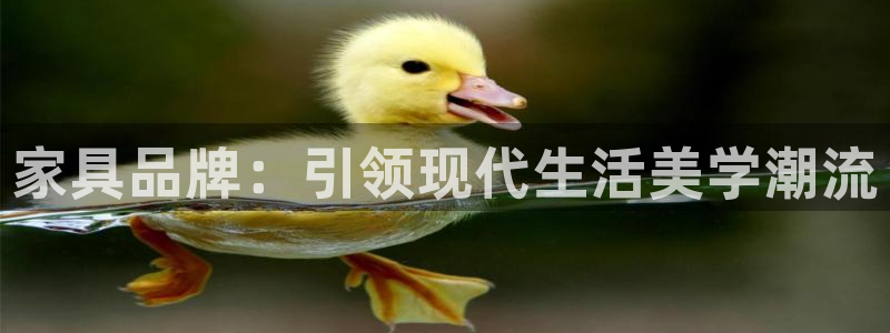 龙八国际娱乐App客户端下载