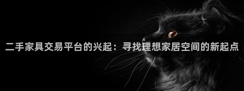 龙八国际手机版