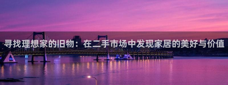 龙八国际app客户端下载手机版：寻找理想家的旧物：在二手市场