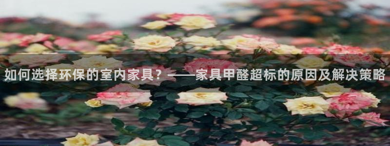 龙八国际登录注册