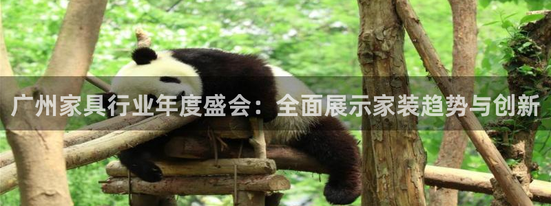 龙八国际下载地址