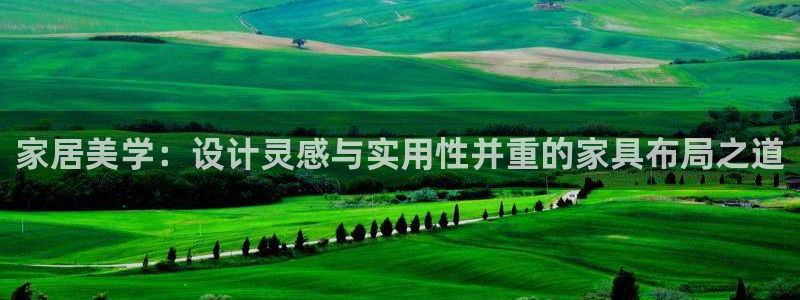 在龙八国际：家居美学：设计灵感与实用性并重的家具布局之道