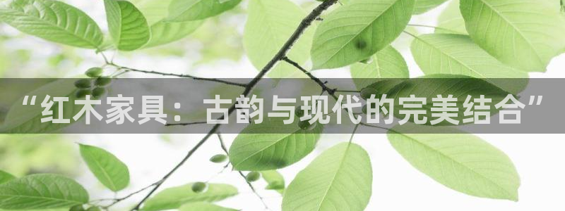 龙八国际不支持苹果手机