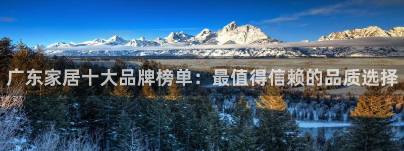 龙八国际网页long