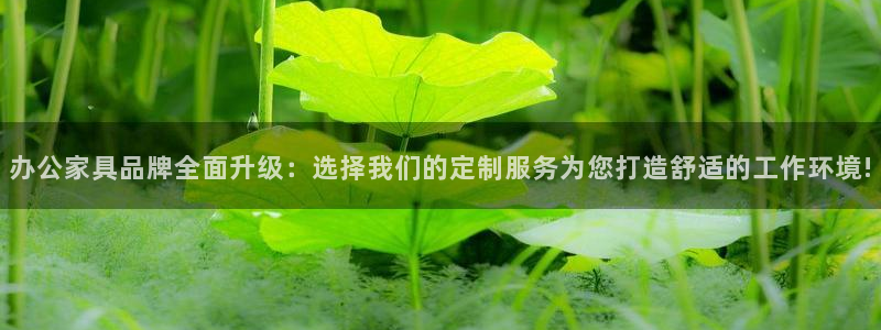 手机版龙八国际服客服