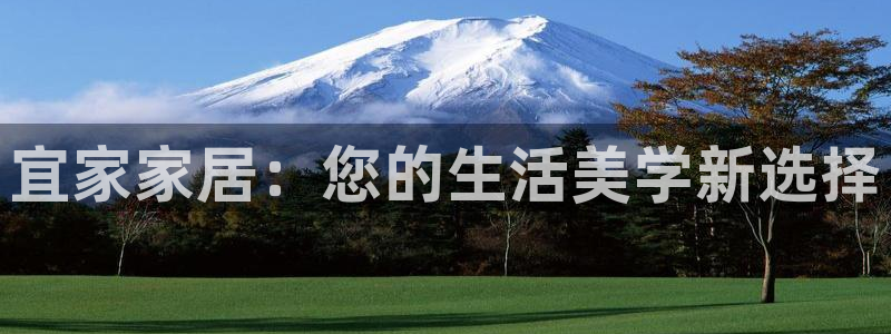 龙八国际官方娱乐网站com