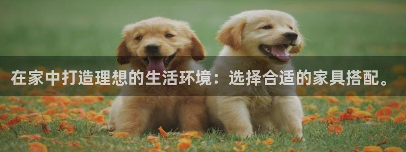 龙八国际服官网入口地址