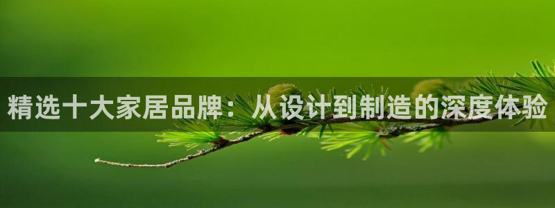 龙八国际手机版官方版app下载