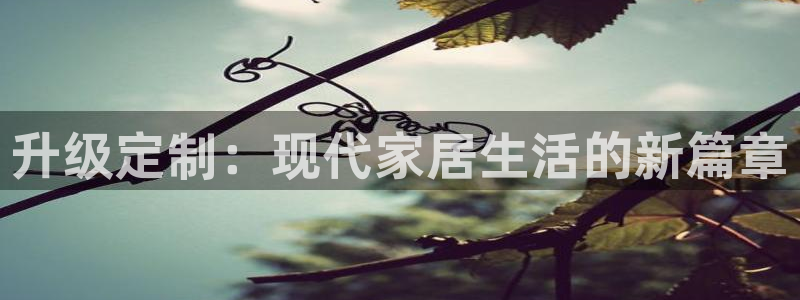 龙八国际服官网