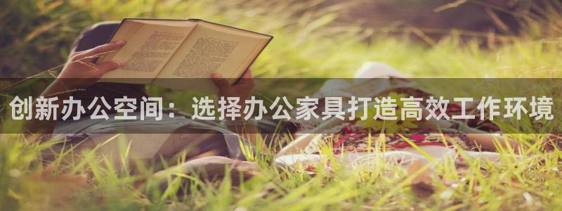 龙八国际是干什么的