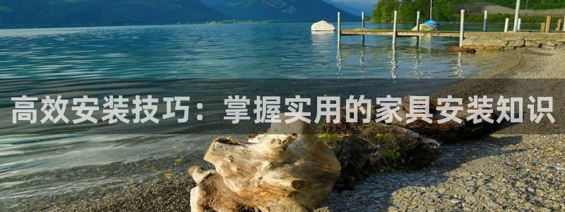 龙八国际娱乐登录