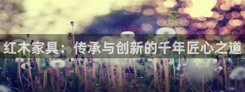 龙八国际官网app下载