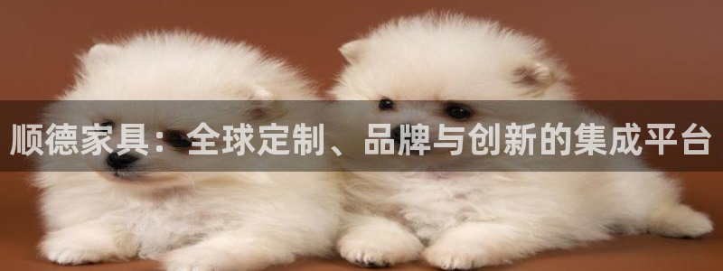 龙八国际赌博经验