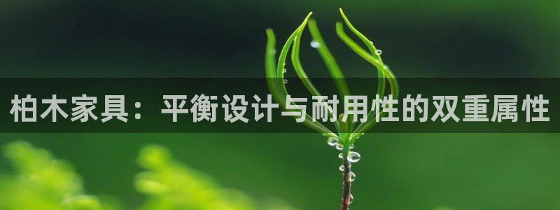 龙八国际网站全网