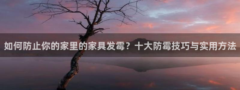 龙八国际娱乐场