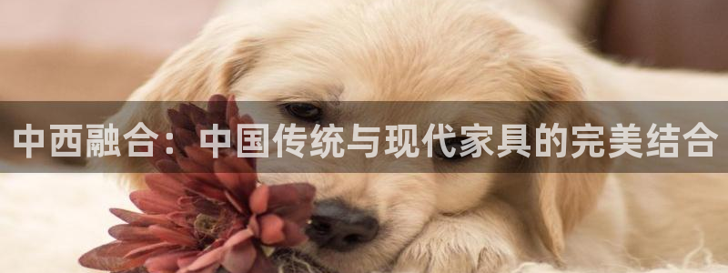 龙八国际平台手机版下载