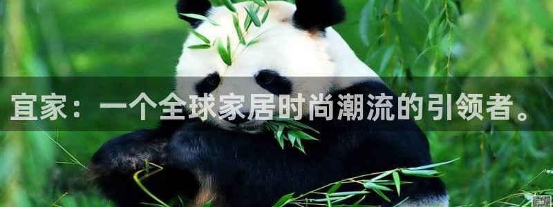 l龙八国际网页登录