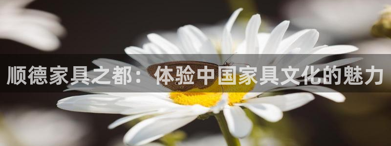龙八国际娱乐游戏