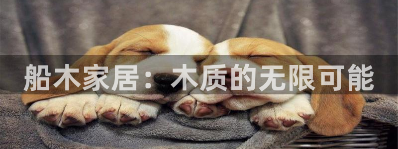 龙八国际app客户端下载安卓
