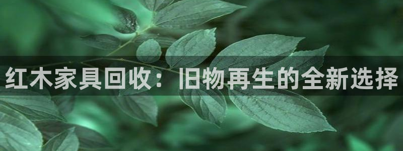 龙八国际手机客户端