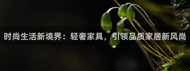 龙八国际官方网登录