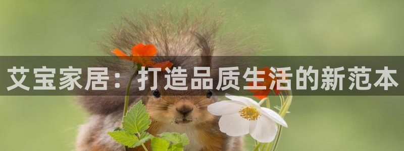 龙八国际mG
