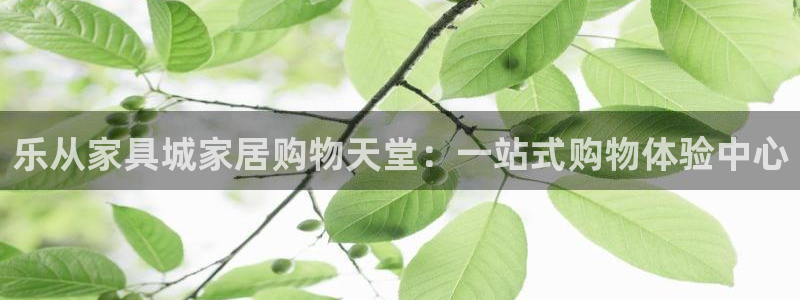 龙八国际现金