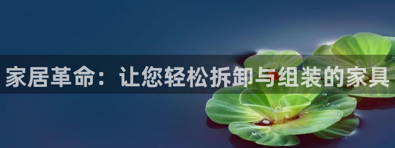 龙八国际手机下载安装