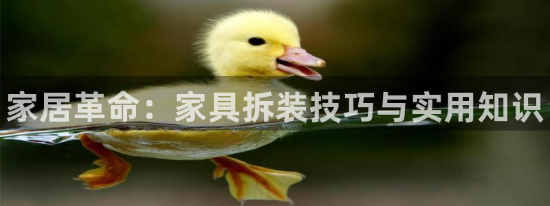 龙八国际app下载官网