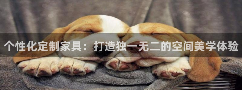 龙八国际代理app