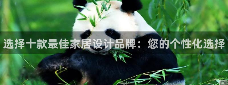 龙八国际音乐