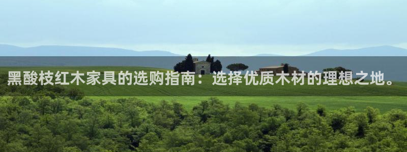 菲律宾的龙八国际