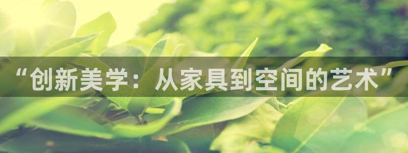 龙八国际官网网站