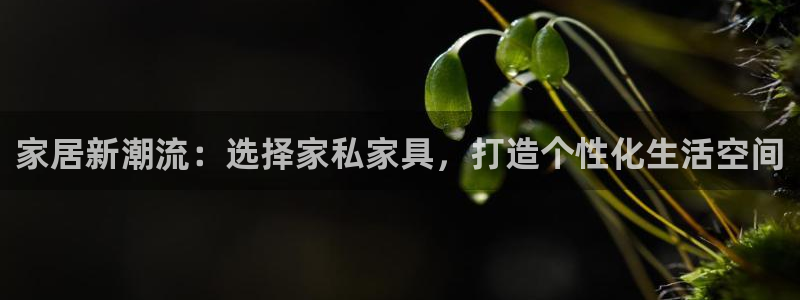 龙八国际安全吗