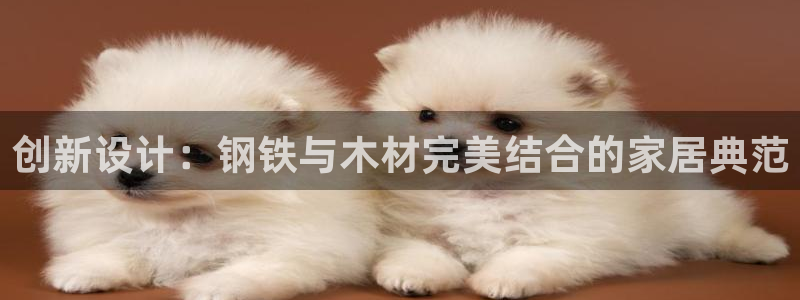 头号玩家龙八国际网址