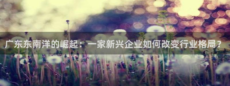 龙八国际娱乐地