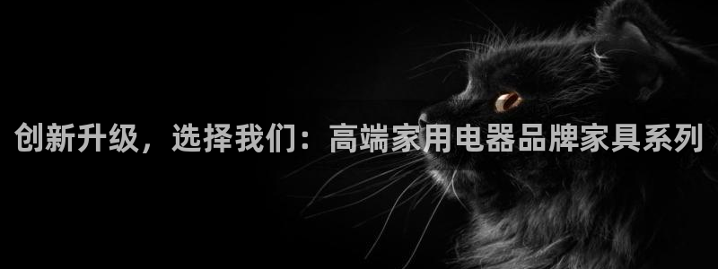 头号玩家龙八国际