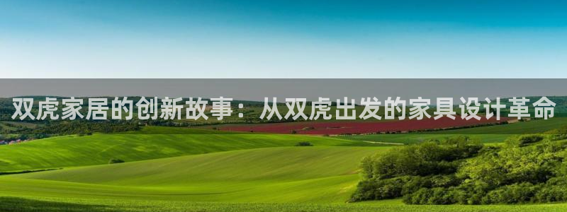 龙八国际在线网址