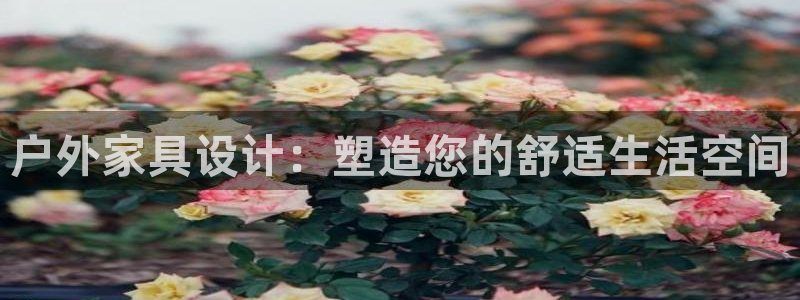 龙八国际城网站