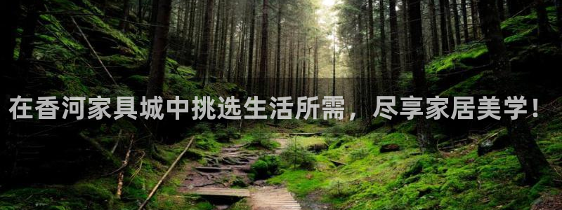 龙八国际这个平台在哪里