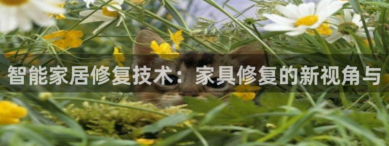 龙八国际游戏视频